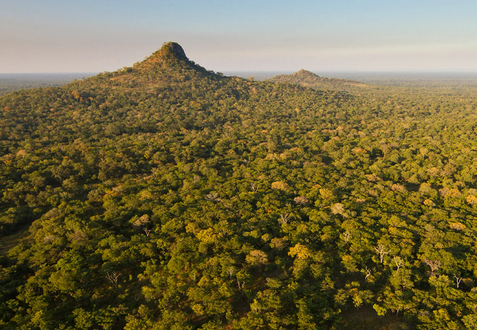 Uma Nova Luz sobre a História Antiga de África: Revelações Fascinantes na Gorongosa