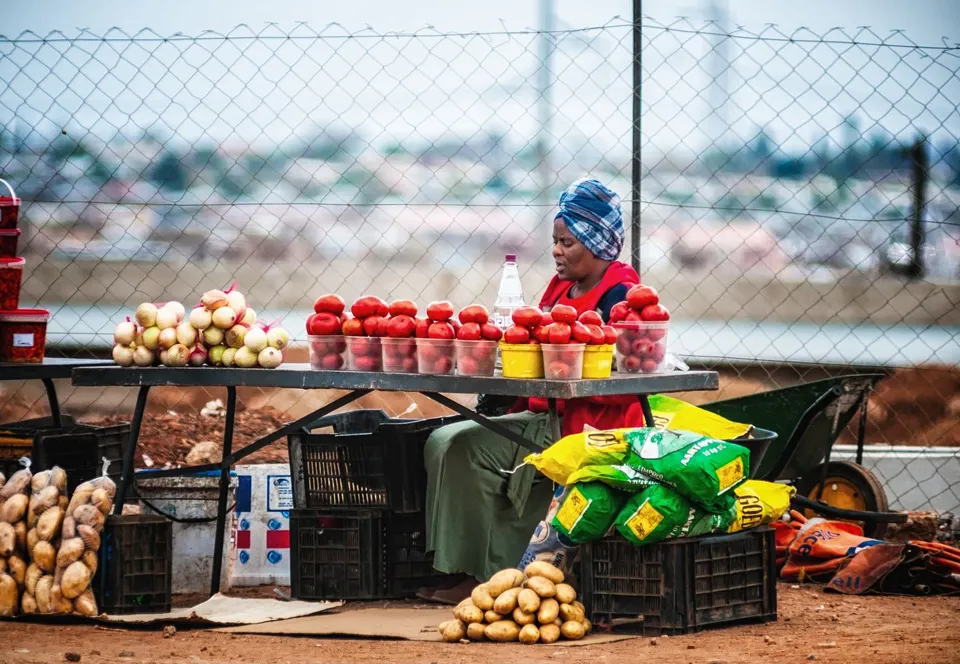 Fim da Informalidade: Moçambique Apresenta Estratégia para Legalizar Comércio Informal!