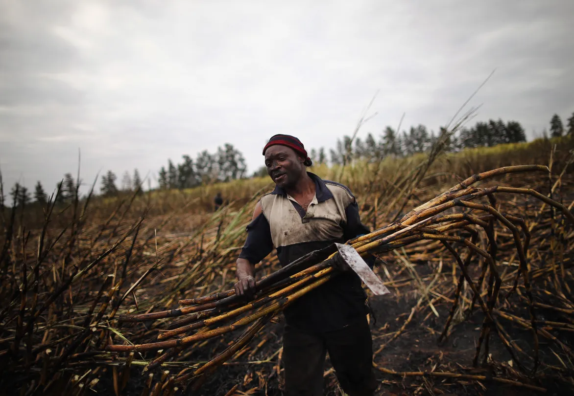 Malawi Recorre a Importação de Açúcar Moçambicano para Mitigar Crise