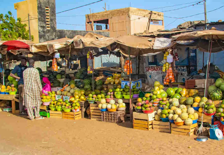 Camponeses de Maúa Arrecadam Mais de Cem Milhões com Venda de Produtos Agrícolas