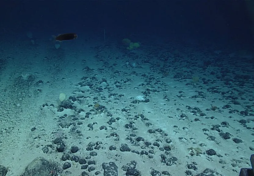 Surpresa Científica: Descobertas Rochas Misteriosas no Oceano que Produzem Oxigénio Sem Luz Solar!