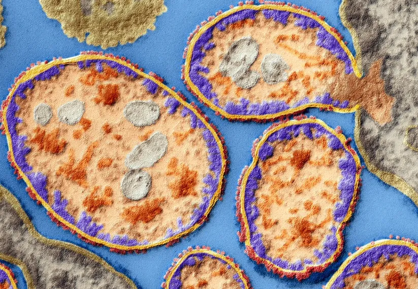 Virologista usa vírus em si própria para tratar cancro da mama