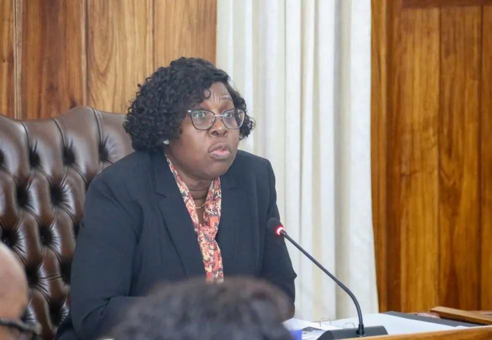 Moçambique reforça investimento agrícola como pilar estratégico de desenvolvimento