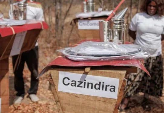 Moçambique recorre à apicultura para proteger culturas e travar elefantes