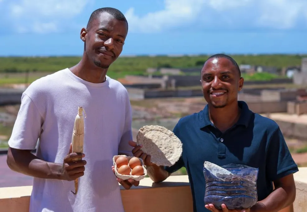 Startup moçambicana cria loiça biodegradável com cascas de milho e vence prémio africano