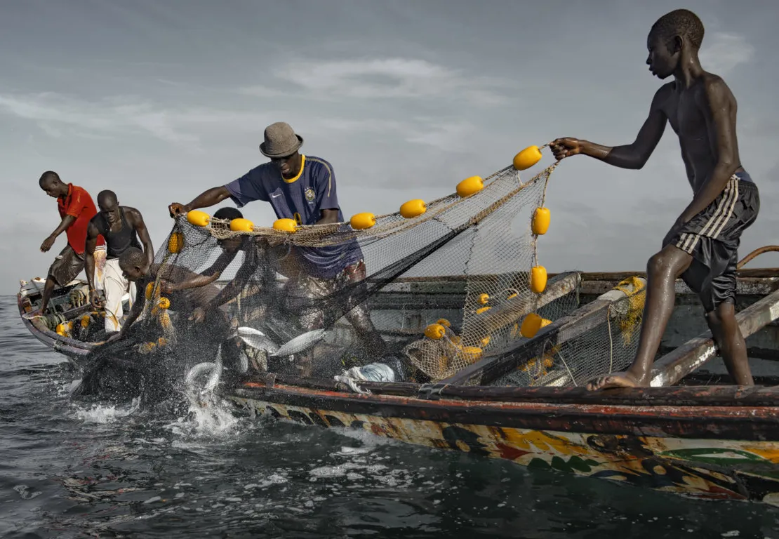 Pesca ilegal ameaça futuro azul de Moçambique