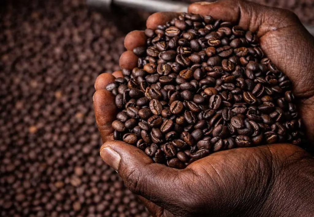 Adeus, cápsulas? A tendência global que está a trazer o café em grão de volta às casas