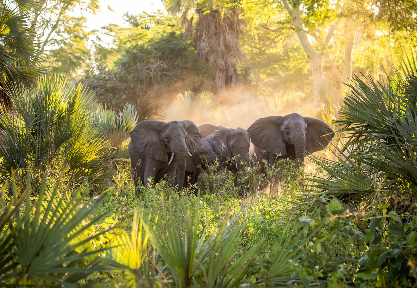 Novo plano do turismo promete mudar economia de Moçambique