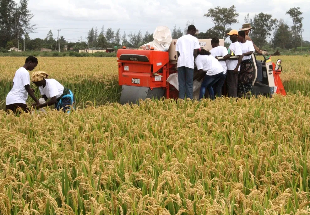 Berlim injecta milhões para transformar o agronegócio moçambicano