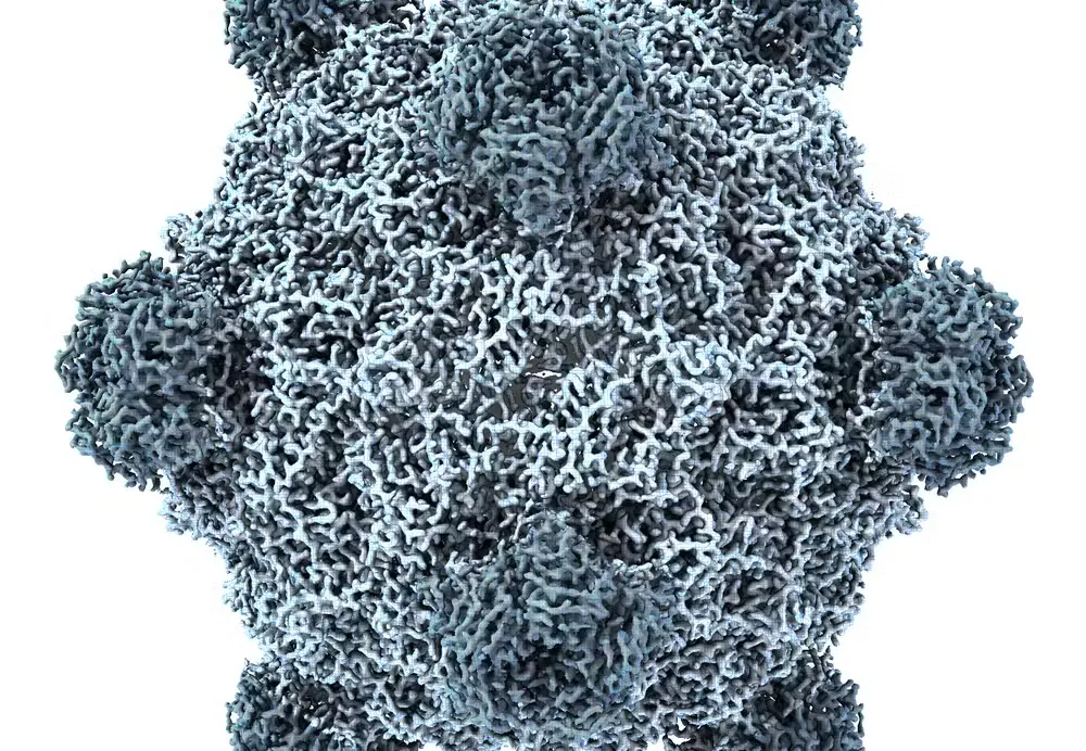 IA desenha pela primeira vez vírus inexistentes na natureza e abre nova fronteira na biologia