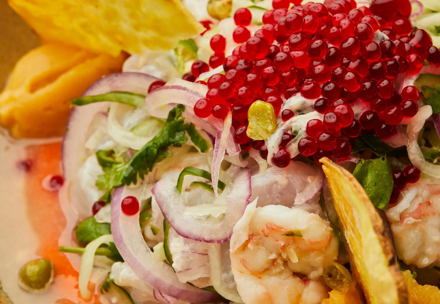 Ceviche de Peixe e Camarão