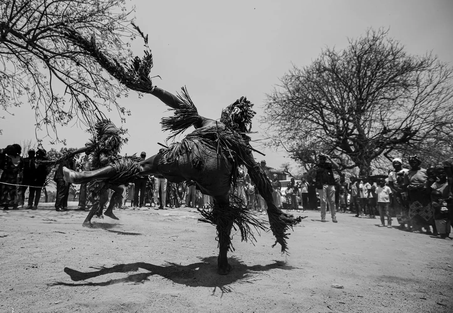 Karingana