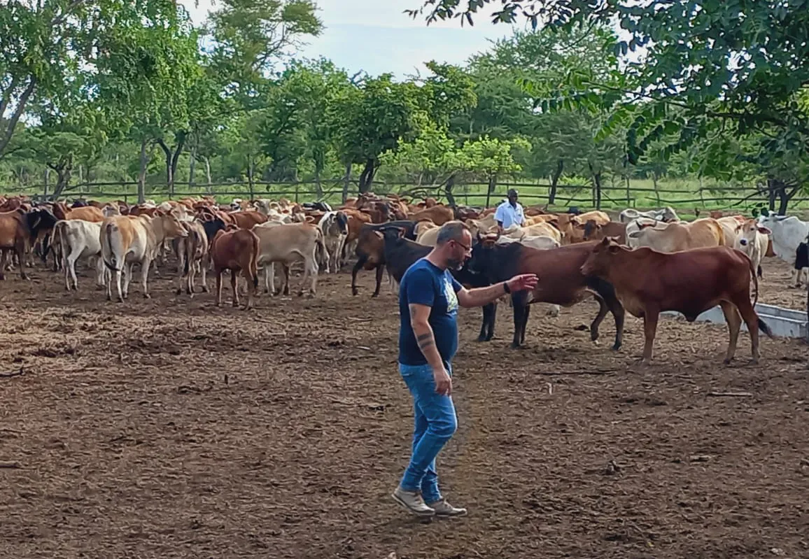 Beira Boi renasce após o caos