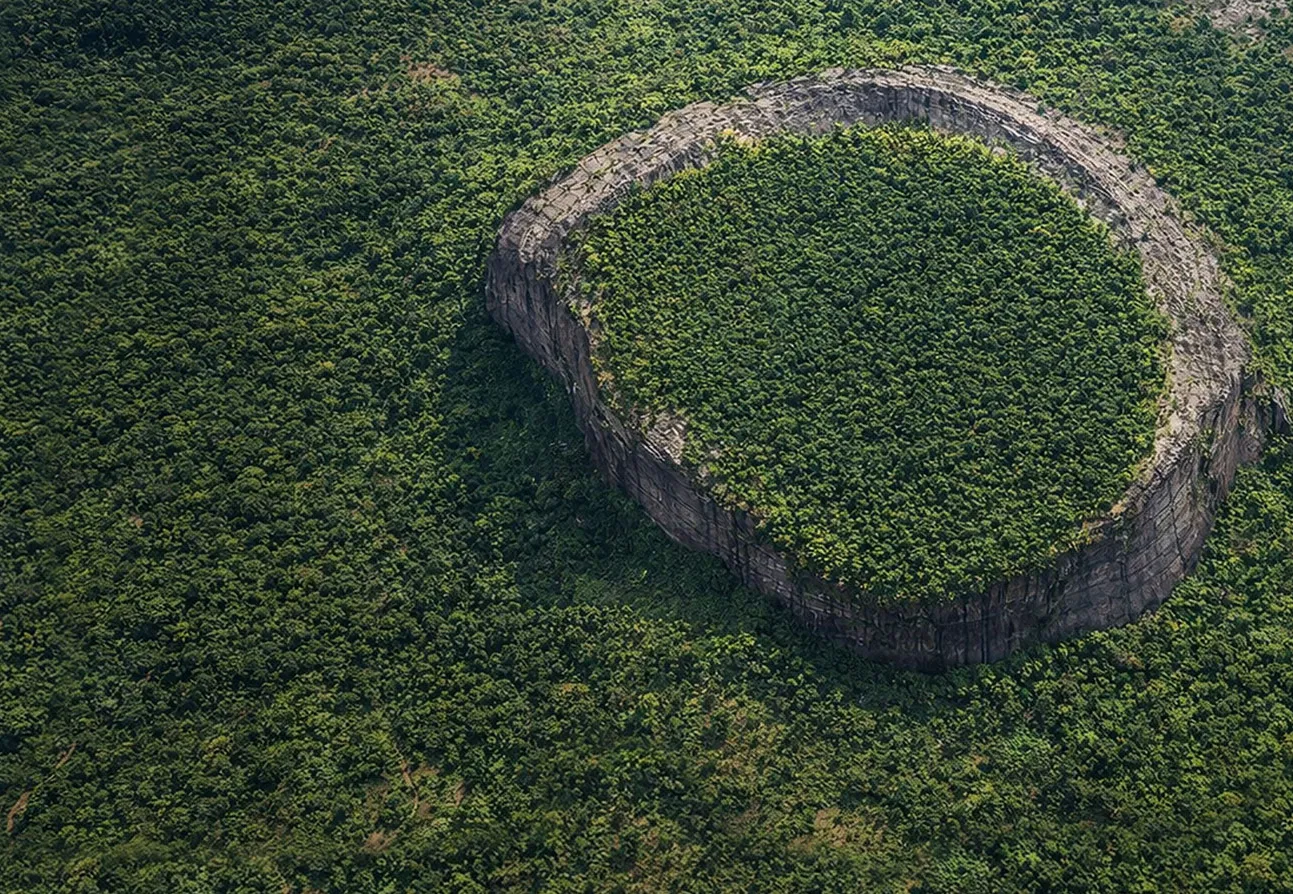 Sabias que existe uma floresta escondida no topo de uma montanha em Moçambique?