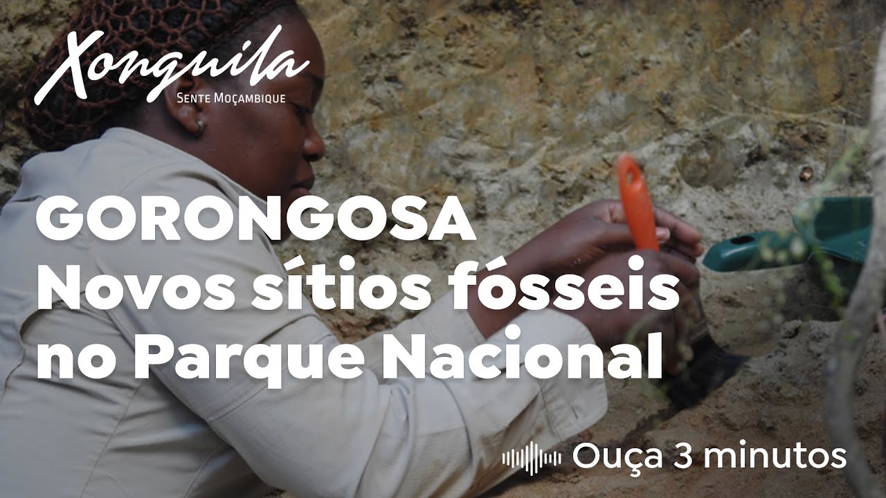 GORONGOSA - Novos sítios fósseis no Parque Nacional