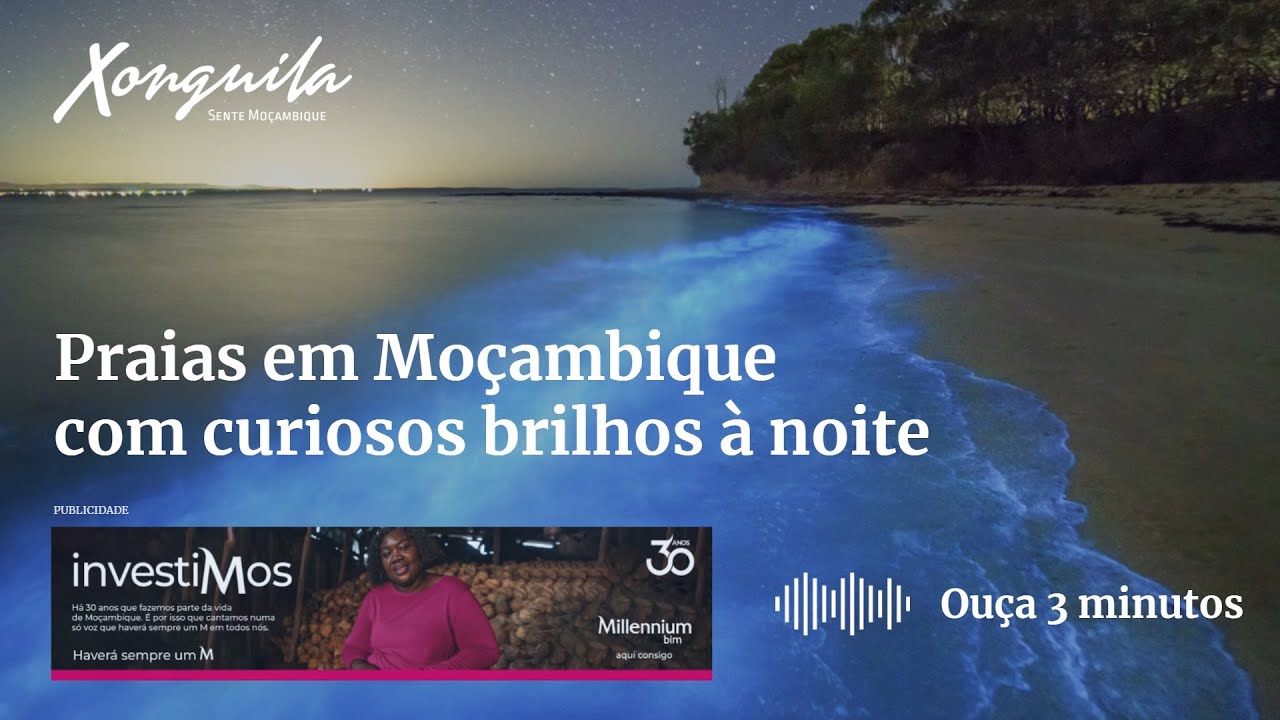Bioluminescência em Moçambique: Quando o Mar Brilha à Noite como o Céu