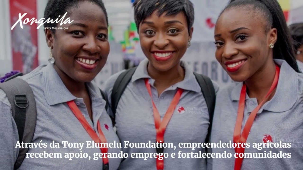 UBA destaca transformação agrícola africana no FIDA e aposta na juventude