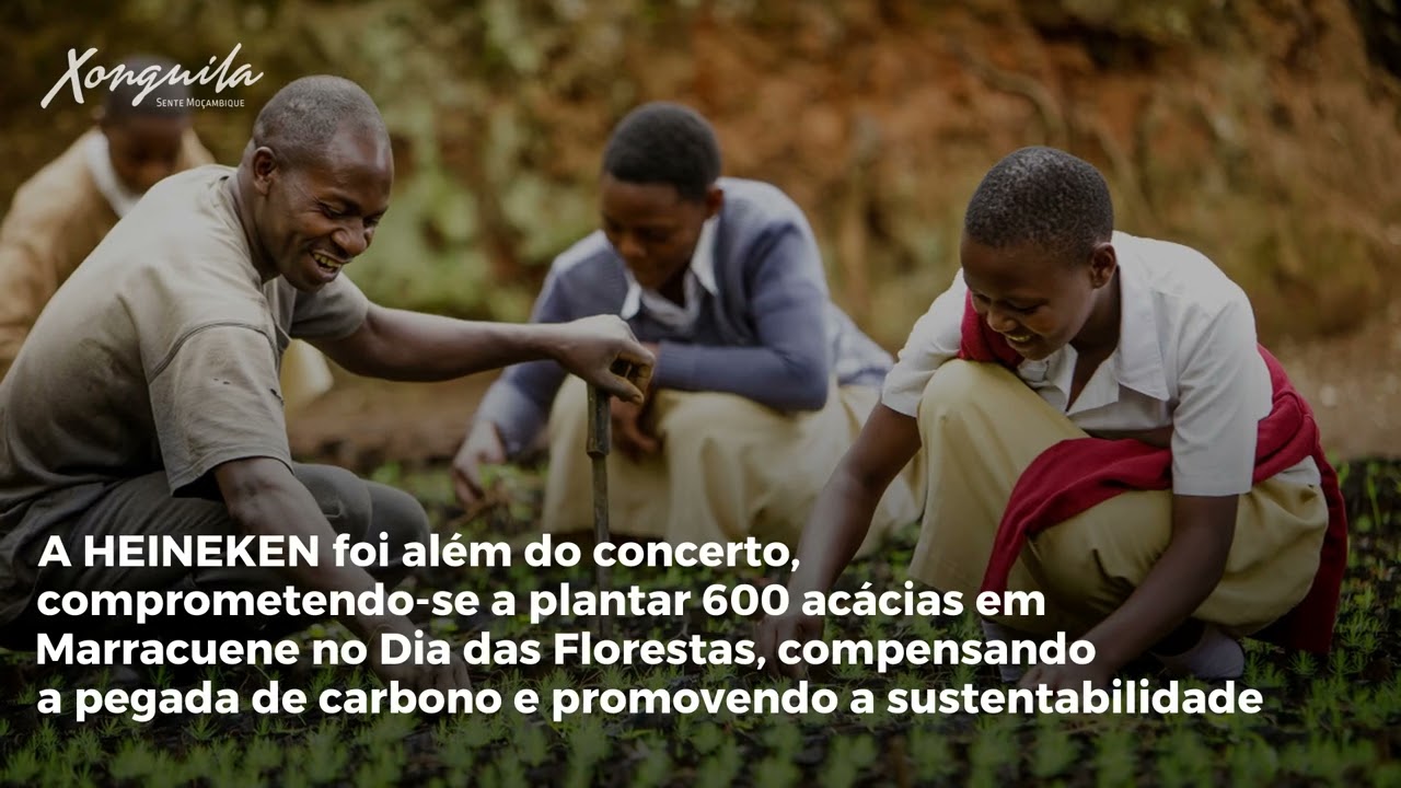 Acordes Ecológicos, o compromisso verde da HEINEKEN Moçambique