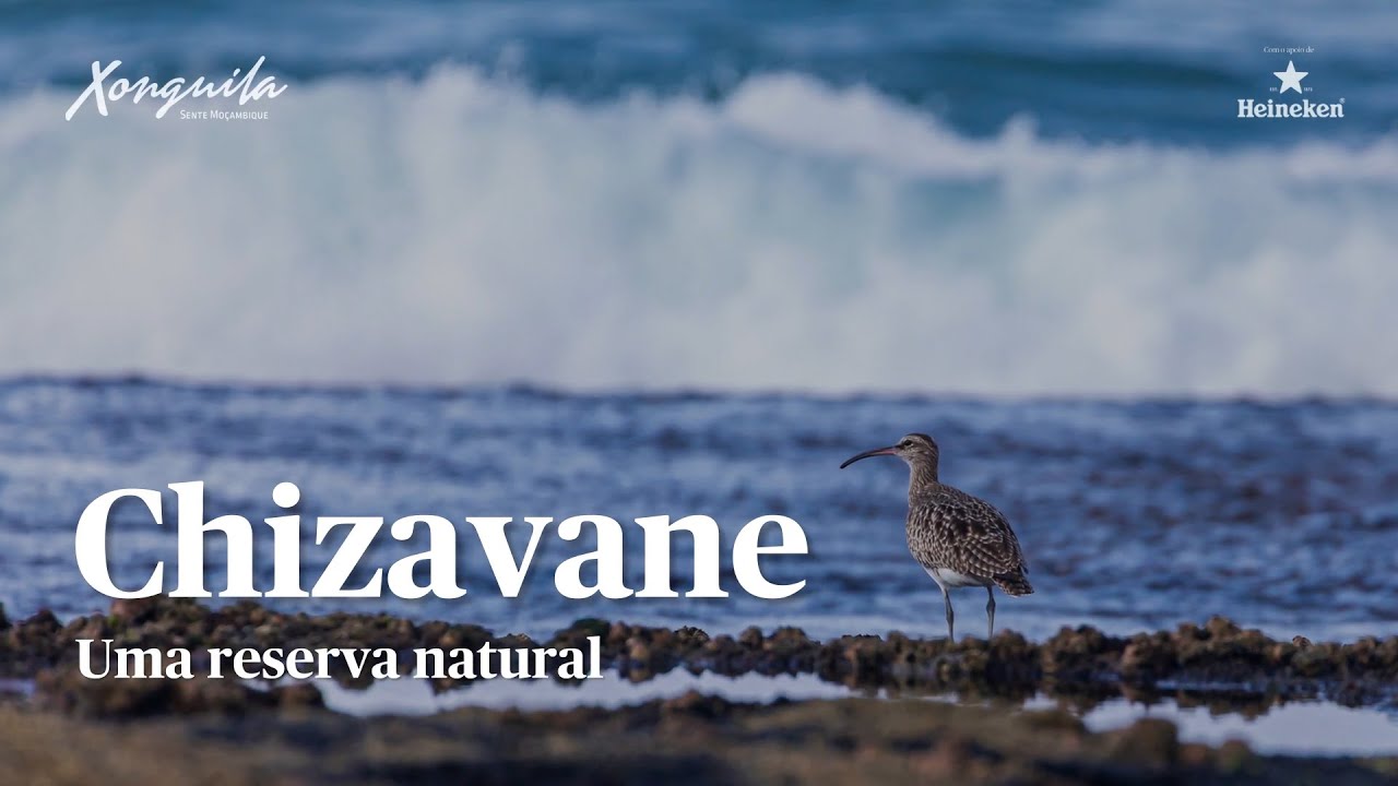 Chizavane: O Paraíso Escondido de Gaza Que Encanta a Alma
