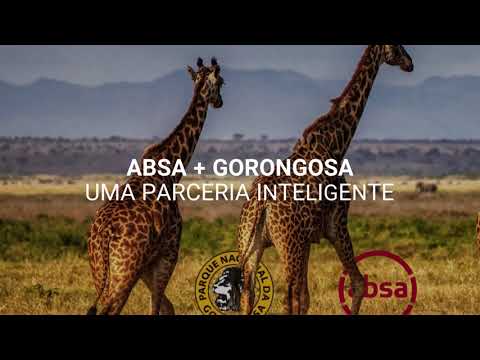 Xonguila Edição Nº 39