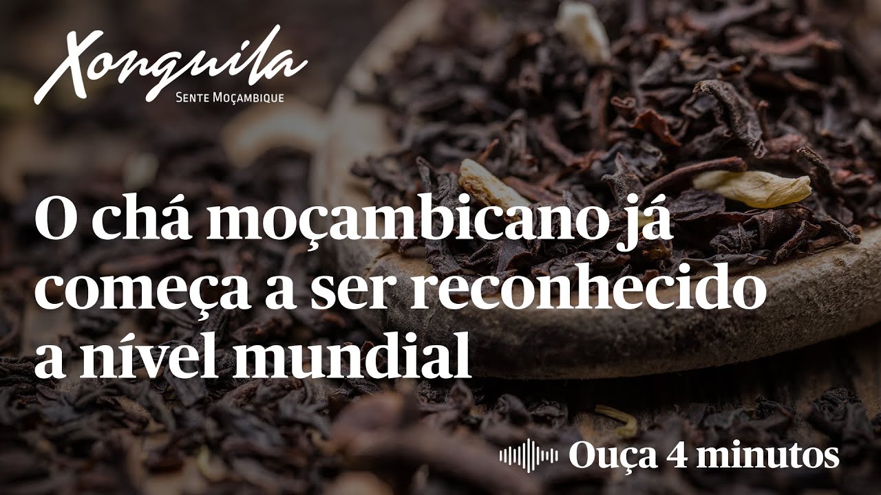 O chá moçambicano já começa a ser reconhecido a nível mundial