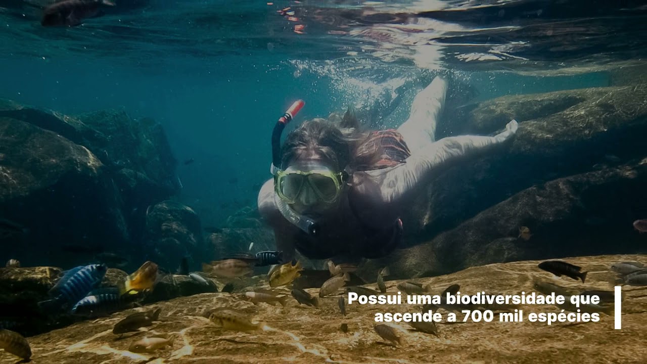 Lago Niassa