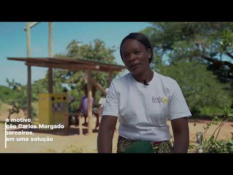Girafa Solar - Revista Xonguila