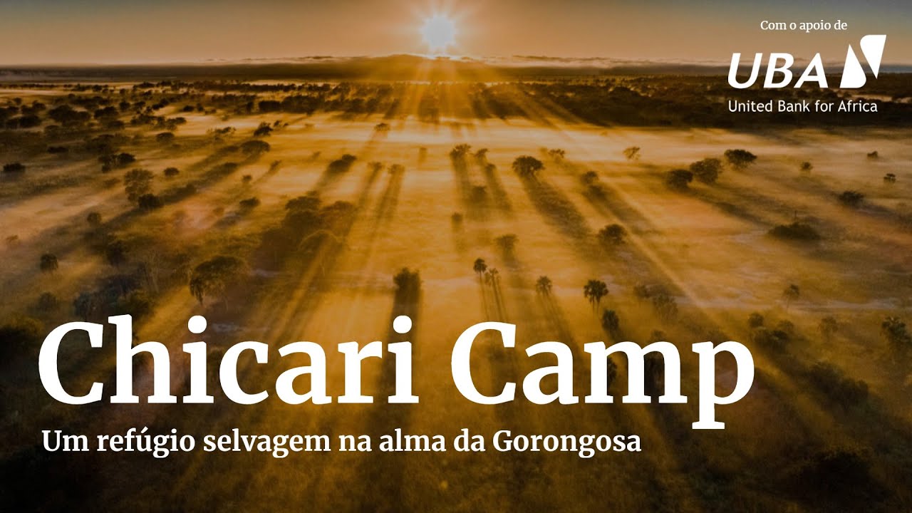 Chicari Camp: Uma Nova Era de Turismo Sustentável na Gorongosa
